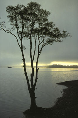 Luss Dawn
